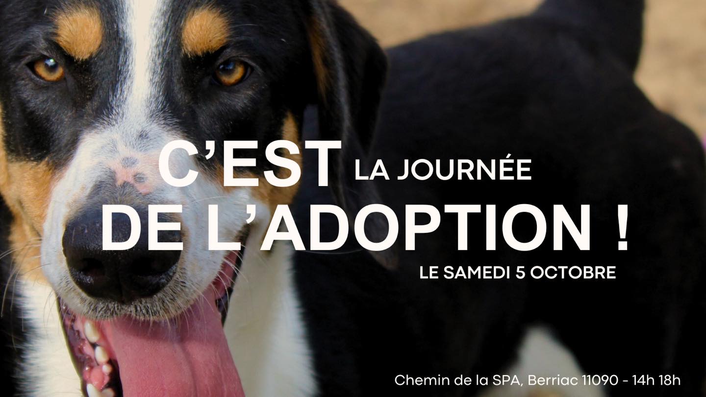 Lire la suite à propos de l’article Journée de l’adoption ce samedi 5 octobre