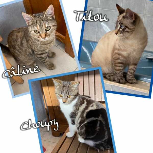 Titou, Caline et Choupy 5 Mois